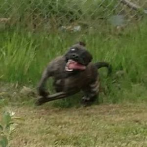 Meet your Posher, Deborah